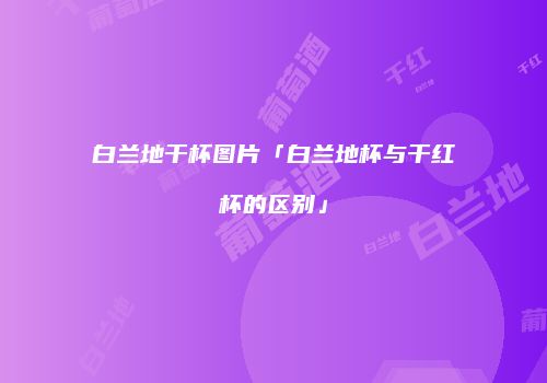 白兰地干杯图片「白兰地杯与干红杯的区别」