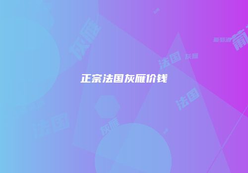 正宗法国灰雁价钱