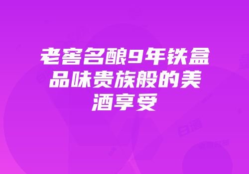 老窖名酿9年铁盒品味贵族般的美酒享受