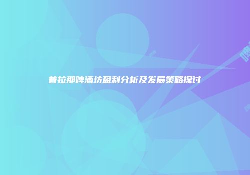 普拉那啤酒坊盈利分析及发展策略探讨
