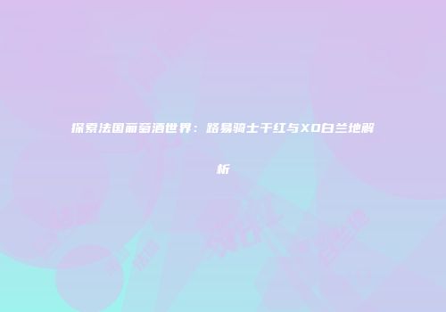 探索法国葡萄酒世界：路易骑士干红与XO白兰地解析