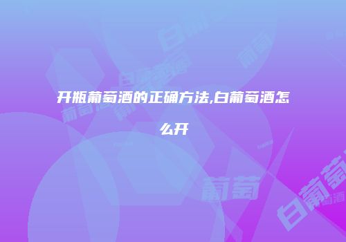 开瓶葡萄酒的正确方法,白葡萄酒怎么开