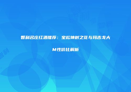 智利名庄红酒推荐：宝松神树之花与玛吉戈大M性价比解析