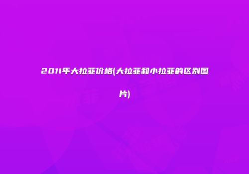 2011年大拉菲价格(大拉菲和小拉菲的区别图片)