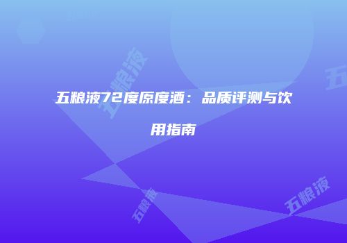 五粮液72度原度酒：品质评测与饮用指南