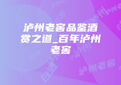 泸州老窖品鉴酒赏之道_百年泸州老窖