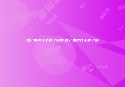 国产黑啤什么牌子好喝,国产黑啤什么牌子好