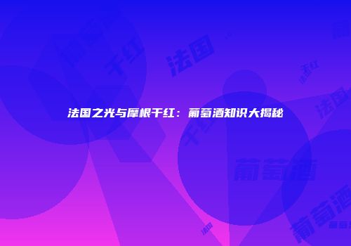 法国之光与摩根干红：葡萄酒知识大揭秘