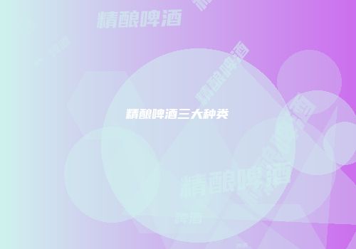 精酿啤酒三大种类