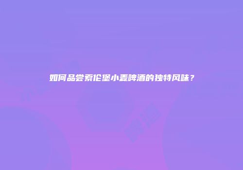 如何品尝索伦堡小麦啤酒的独特风味？
