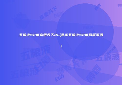 五粮液52度富贵天下2L(品鉴五粮液52度醇香美酒)