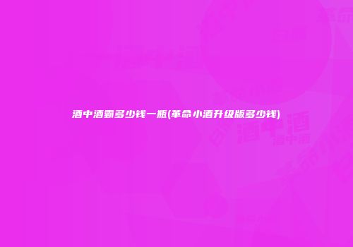 酒中酒霸多少钱一瓶(革命小酒升级版多少钱)