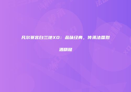 凡尔赛宫白兰地XO：品味经典，传承法国烈酒精髓