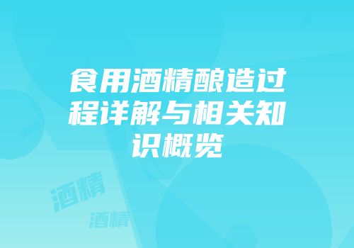 食用酒精酿造过程详解与相关知识概览