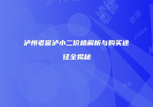 泸州老窖泸小二价格解析与购买途径全揭秘