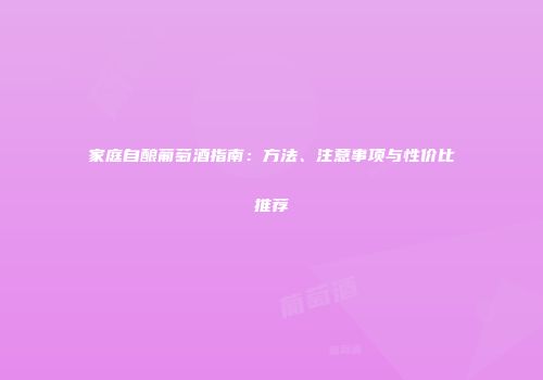 家庭自酿葡萄酒指南：方法、注意事项与性价比推荐