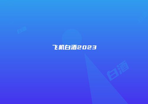 飞机白酒2023