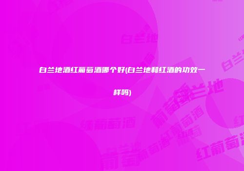 白兰地酒红葡萄酒哪个好(白兰地和红酒的功效一样吗)
