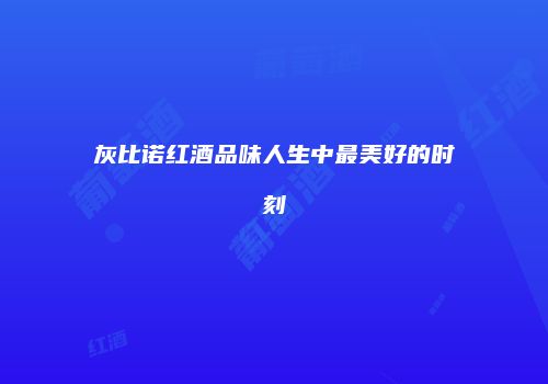 灰比诺红酒品味人生中最美好的时刻