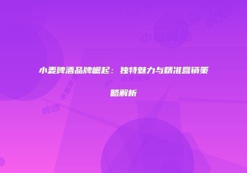 小麦啤酒品牌崛起：独特魅力与精准营销策略解析