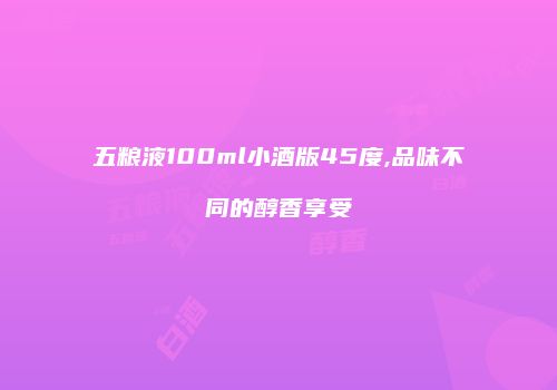 五粮液100ml小酒版45度,品味不同的醇香享受