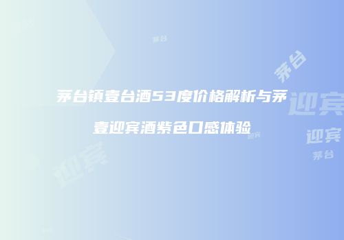茅台镇壹台酒53度价格解析与茅壹迎宾酒紫色口感体验