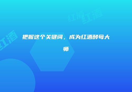 把握这个关键词，成为红酒酵母大师