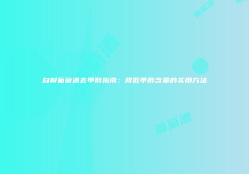 自制葡萄酒去甲醇指南：降低甲醇含量的实用方法