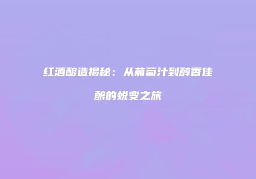 红酒酿造揭秘：从葡萄汁到醇香佳酿的蜕变之旅
