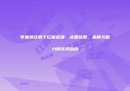 梦迪荣庄园干红葡萄酒：法国佳酿，品质与魅力的完美融合