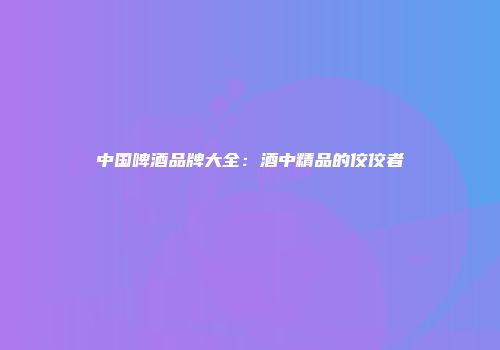 中国啤酒品牌大全：酒中精品的佼佼者