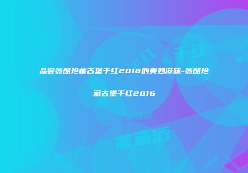 品尝薇酩珍藏古堡干红2016的美妙滋味-薇酩珍藏古堡干红2016