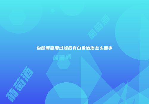 自酿葡萄酒过滤后有白色泡泡怎么回事