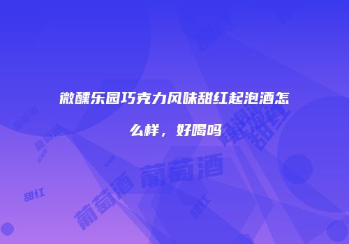 微醺乐园巧克力风味甜红起泡酒怎么样，好喝吗