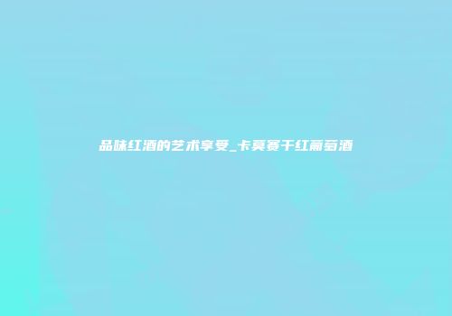 品味红酒的艺术享受_卡莫赛干红葡萄酒