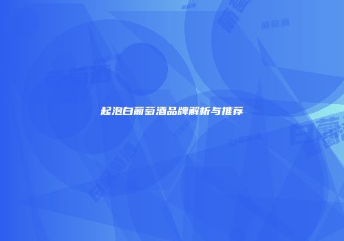起泡白葡萄酒品牌解析与推荐