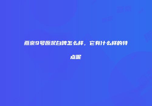 燕京9号原浆白啤怎么样，它有什么样的特点呢