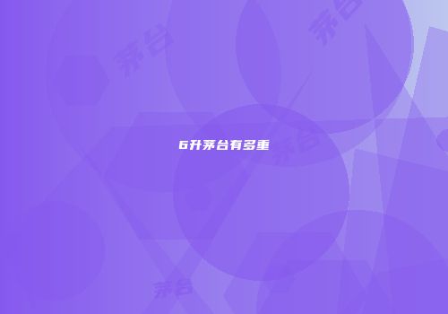 6升茅台有多重