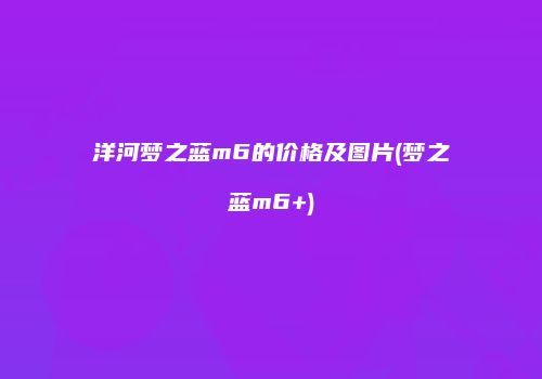 洋河梦之蓝m6的价格及图片(梦之蓝m6+)