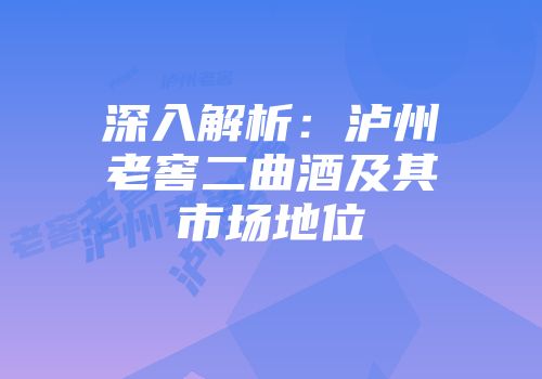 深入解析：泸州老窖二曲酒及其市场地位