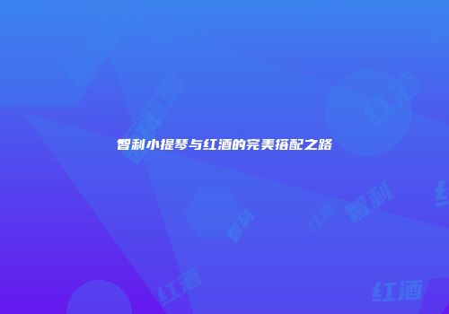 智利小提琴与红酒的完美搭配之路