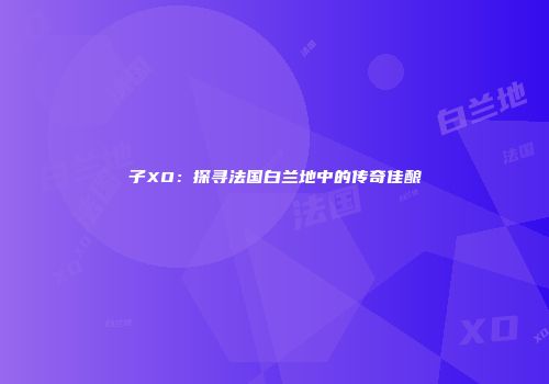 子XO：探寻法国白兰地中的传奇佳酿