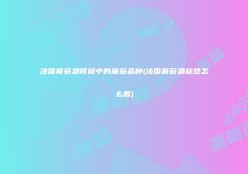 法国葡萄酒背标中的葡萄品种(法国葡萄酒标签怎么看)