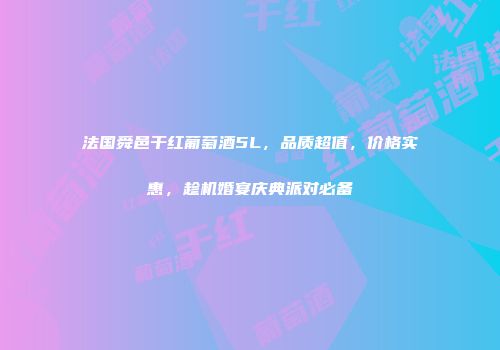 法国舜邑干红葡萄酒5L，品质超值，价格实惠，趁机婚宴庆典派对必备
