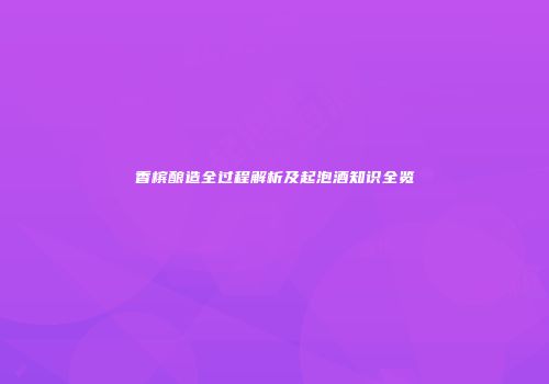 香槟酿造全过程解析及起泡酒知识全览