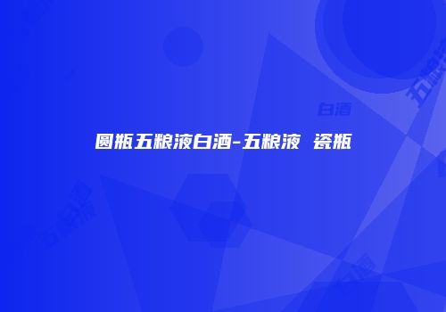 圆瓶五粮液白酒-五粮液 瓷瓶