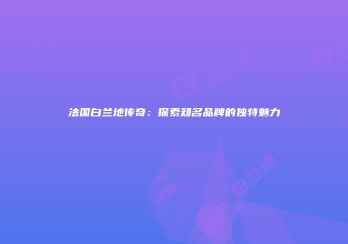 法国白兰地传奇：探索知名品牌的独特魅力