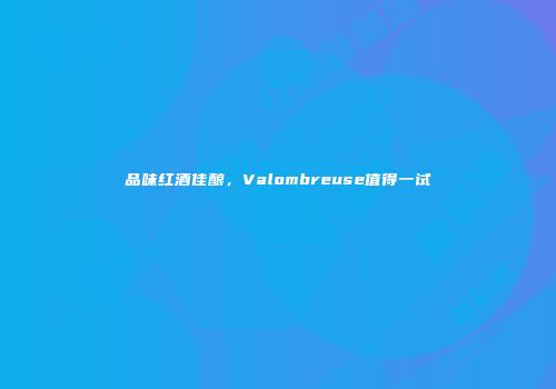 品味红酒佳酿，Valombreuse值得一试