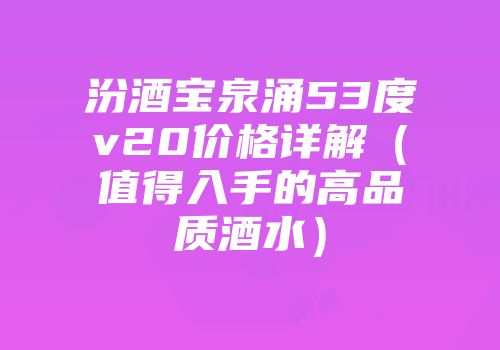 汾酒宝泉涌53度v20价格详解（值得入手的高品质酒水）