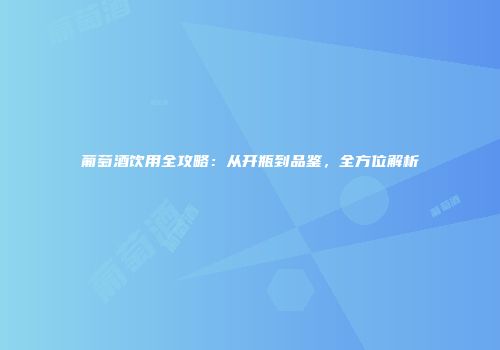葡萄酒饮用全攻略：从开瓶到品鉴，全方位解析